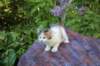 eden5weeks13614_small.jpg