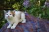 eden5weeks13616_small.jpg