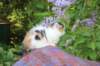 eden5weeks13622_small.jpg