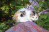 eden5weeks13624_small.jpg