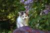 eden5weeks13639_small.jpg