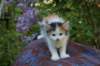 eden5weeks13652_small.jpg