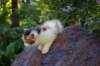 eden5weeks13653_small.jpg