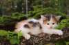 eden5weeks13661_small.jpg