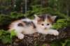 eden5weeks13662_small.jpg