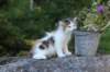 edengirl7weeks286100_small.jpg
