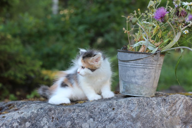 edengirl7weeks286107.jpg