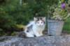 edengirl7weeks286109_small.jpg