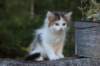 edengirl7weeks286118_small.jpg