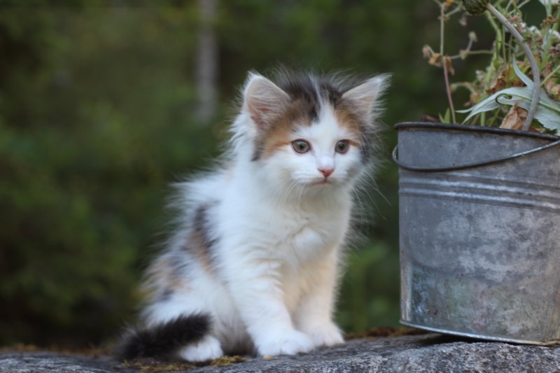 edengirl7weeks286119.jpg