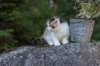 edengirl7weeks286132_small.jpg