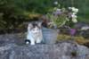 edengirl7weeks286139_small.jpg