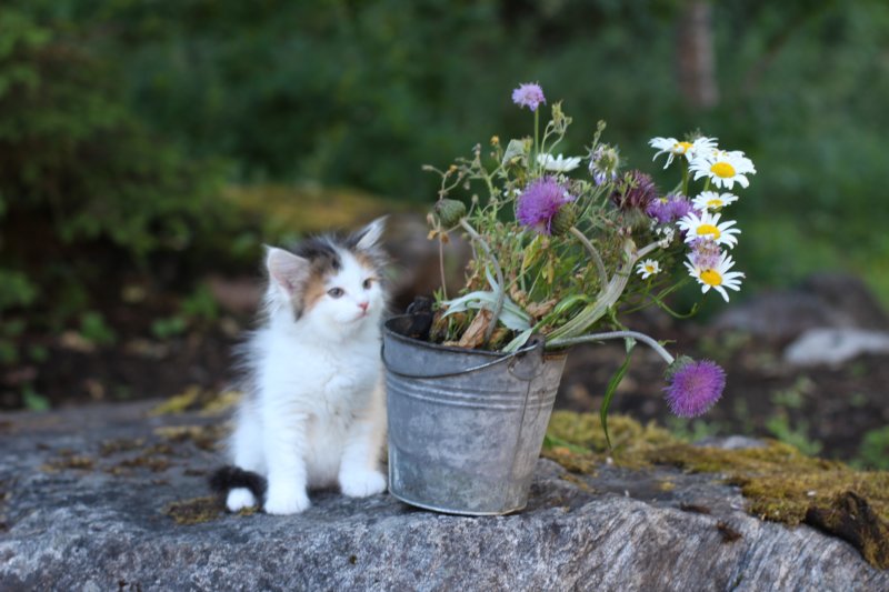 edengirl7weeks286146.jpg