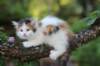 edengirl7weeks28614_small.jpg