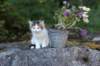edengirl7weeks286153_small.jpg