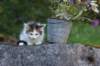 edengirl7weeks286161_small.jpg