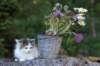 edengirl7weeks286169_small.jpg