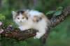 edengirl7weeks28622_small.jpg