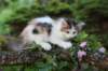 edengirl7weeks28654_small.jpg