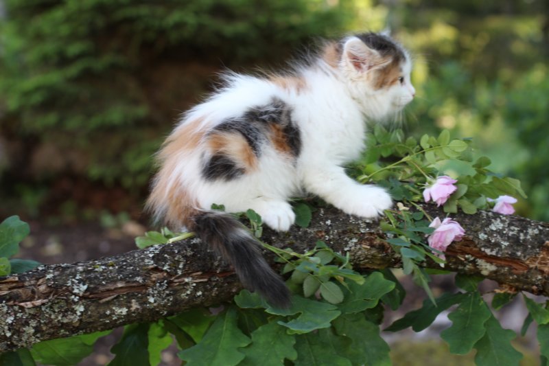 edengirl7weeks28661.jpg