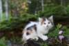 edengirl7weeks28665_small.jpg