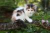 edengirl7weeks28668_small.jpg