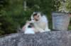 edengirl7weeks28681_small.jpg