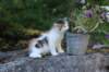 edengirl7weeks28693_small.jpg