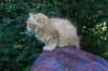 eliazar115viikkoa27715_small.jpg