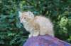eliazar115viikkoa27722_small.jpg