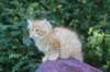 eliazar115viikkoa27723_small.jpg