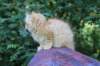 eliazar115viikkoa27724_small.jpg