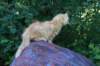 eliazar115viikkoa2776_small.jpg
