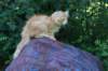 eliazar115viikkoa2777_small.jpg