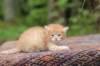 eliazar4weeks5611_small.jpg