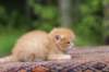 eliazar4weeks5616_small.jpg