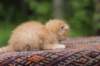 eliazar4weeks5617_small.jpg