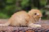 eliazar4weeks564_small.jpg