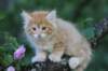 eliazarboy7weeks286107_small.jpg