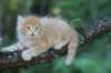 eliazarboy7weeks28612_small.jpg