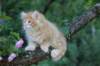 eliazarboy7weeks2861_small.jpg