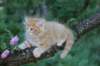 eliazarboy7weeks28623_small.jpg