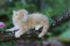 eliazarboy7weeks28629_small.jpg