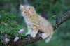 eliazarboy7weeks28684_small.jpg