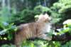 eliphai115viikkoa27712_small.jpg
