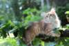eliphai115viikkoa27714_small.jpg