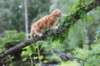enoch125viikkoa4814_small.jpg