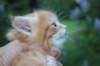 enochboy5weeks1366_small.jpg