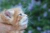enochboy5weeks1367_small.jpg