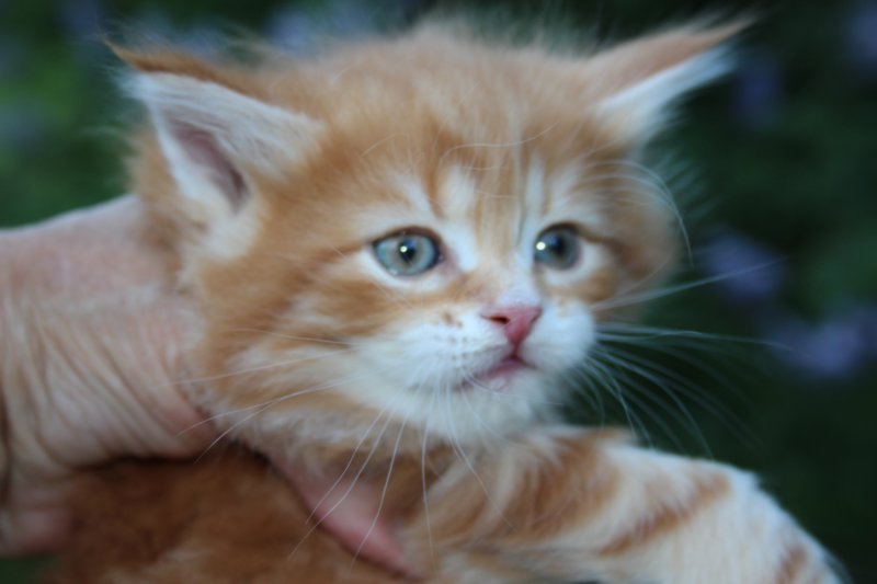 enochboy5weeks1368.jpg